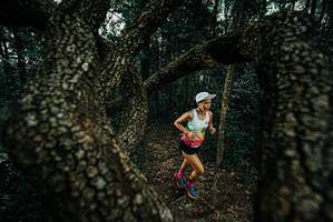 BIB: 
                            <button type="button" onclick="openModal(25686799)" class="btn btn-primary btn-sm float-right btn-popup" data-toggle="modal" data-target=".modal-high-quality">
                        <i class="fas fa-shopping-cart"></i> Add to Cart
                    </button>
                                            <button type="button" onclick="isThisMe(25686799, true)" class="btn btn-success btn-sm float-right btn-popup btn-isme hidden" data-toggle="tooltip" data-placement="bottom" title="นี่คือรูปของคุณใช่ไหม คลิกที่นี่เพื่อเอาเข้าอัลบั้ม">
                        <i class="fas fa-plus"></i> Add to album
                    </button>
                    <button type="button" onclick="isThisMe(25686799, false)" class="btn btn-warning btn-sm float-right btn-popup btn-isnotme hidden">
                        <i class="fas fa-ban"></i> Remove from album
                    </button>